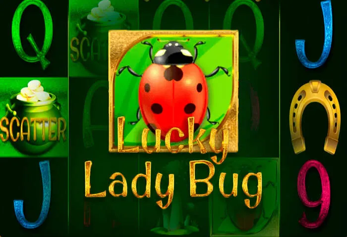 Play exciting slots and classic table games at Mrpachocasino online casino.