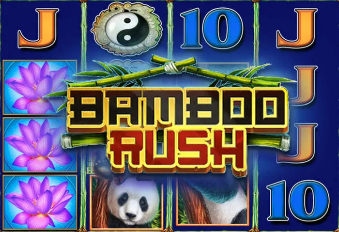 Disfruta la experiencia de los mejores juegos de casino online en Mrpachocasino.