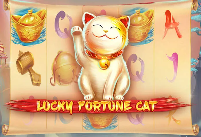 Mrpachocasino: tu sitio para los mejores juegos de casino en línea.