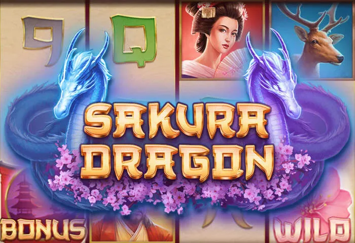 Find the best casino no deposit bonus codes for free play slots and exclusive offers.